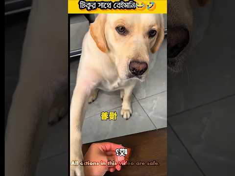 Tiku ata ki korlo😂🤣 #fypシ゚viral #funny #fyp