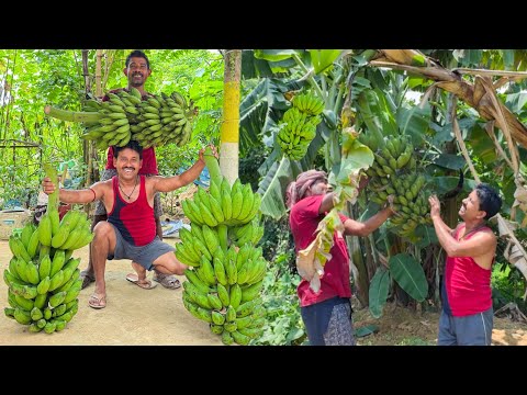 গ্রামের মানুষদের কঠোর পরিশ্রমেই এত ফলন ❤️🌱''