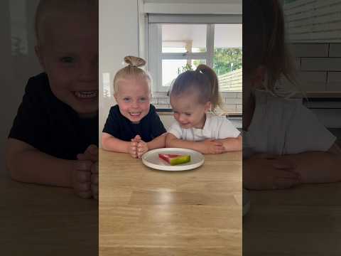Giving the twins 1 piece of watermelon 🍉 to see if they share #twinmom #twins #toddlers #momof5