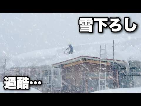 雪国での暮らし… 今月2度目の雪下ろし｜豪雪地帯の古民家で大雪と戦う猫との暮らし【山形県】