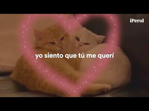 Mon Laferte - Amor Completo (Letra)