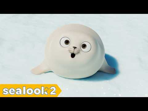 More Baby Seal, Happier Subscribers | SEALOOK Compilation