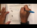 Geometry and Area Calculations