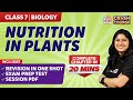 Plant Biology Concepts and Relationships