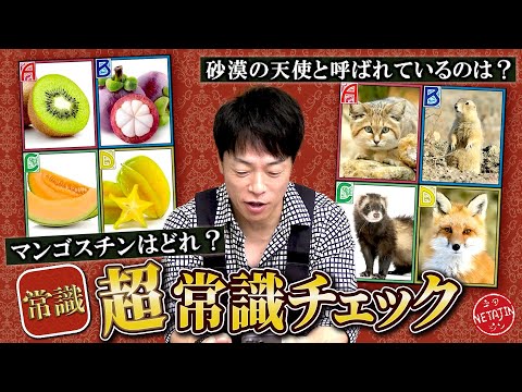 【超常識チェック!!】最下層から超一流に上り詰めろ!!陣内の常識力をクイズでチェック!!