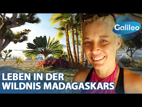 Auf der Suche nach dem Glück: Maria's Abenteuer in Madagaskar