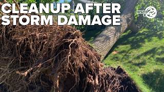Severe weather causes extensive damage for homeowners in St  Joseph County