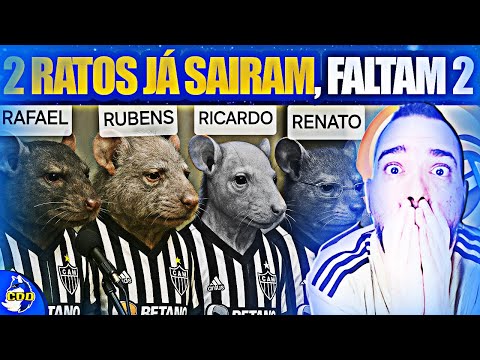 image para ilustrar o artigo