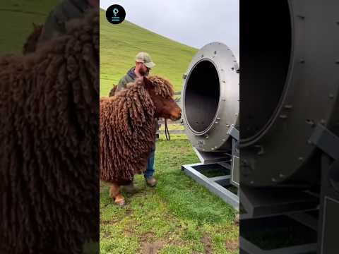 Super Smart Wool Removal Device