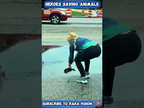 15 Heroes Who Rescued Animals Away from the Spotlight ❤️| Chapter 2