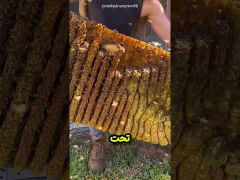 شوف البنت دي اكتشفت ايه #viral
