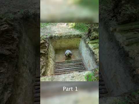 Building an Underground log cabin Part 1 #bushcraft #survival #outdoors