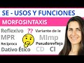 Understanding the Functions of 'SE' in Spanish Sentences