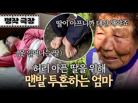 "내가 다 해줄게" 허리 아픈 딸을 위해 여기저기 뛰어다니며 일하는 95세 할머니 | 사노라면 404-1