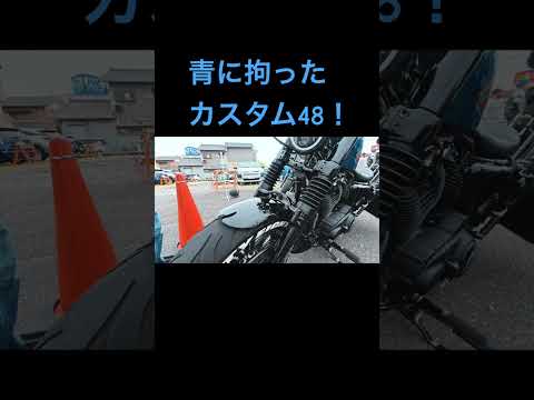 XL1200X車両紹介！青カスタム！ #ハーレーダビッドソン #xl1200r #harleydavidson