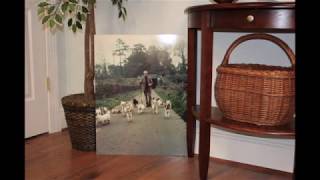 Jack Russell Terrier Museum Open House