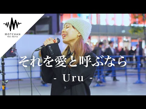 【涙腺崩壊!?】歌舞伎町に響き渡る歌声がめちゃくちゃ綺麗すぎて半端ないっ!! それを愛と呼ぶなら / Uru （Covered By 絹）