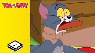 Tom's Surprise Reactions | Tom & Jerry | Boomerang UK