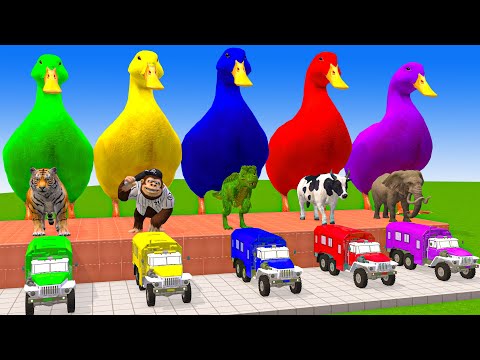 5 Giant Duck Cartoon,Cow,Lion,Puppy,Elephant,Tiger, Paint Wild Animals Crossing Fountain Animation