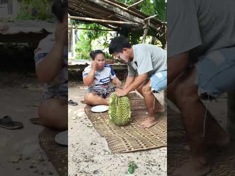 ทุเรียนทำไมถึงเป็นแบบนี้