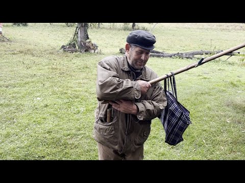 Igor bringt die Katze - Oh nein, was jetzt?