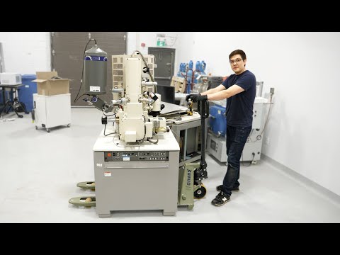 Just a bunch of monkeys with a microscope