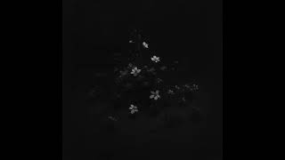 Anzy - 百の花 (Official Audio) Hyaku No Hana