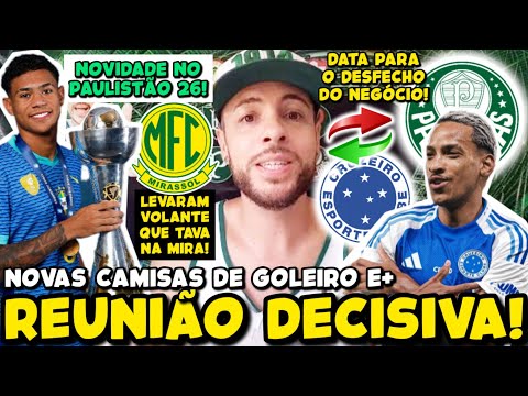 image para ilustrar o artigo