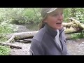 Benthic Macroinvertebrates and Ecosystems