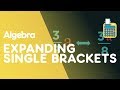 Expanding Brackets in Algebra