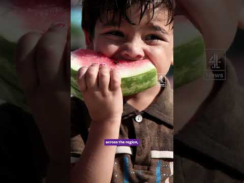 Why watermelons have become a pro-Palestinian symbol