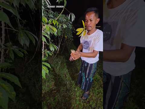 biar dapet harus lompat #shortvideo