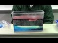 Exploring Water and Air Density Dynamics