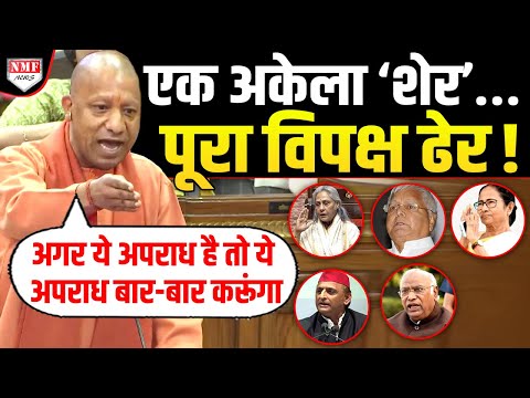 सनातनी Yogi की दहाड़- Lalu, Mamata, Jaya Bachchan, Kharge, Akhilesh सबको लताड़ा !