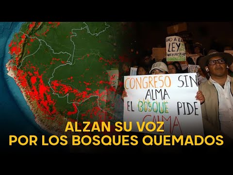 ¡BASTA YA! Jóvenes peruanos se cansan de la indiferencia y salen a protestar por los incendios