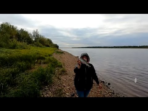 Рыбалка на хариуса / Как ловить хариуса на бомбарду / Ловля хариуса на мушки