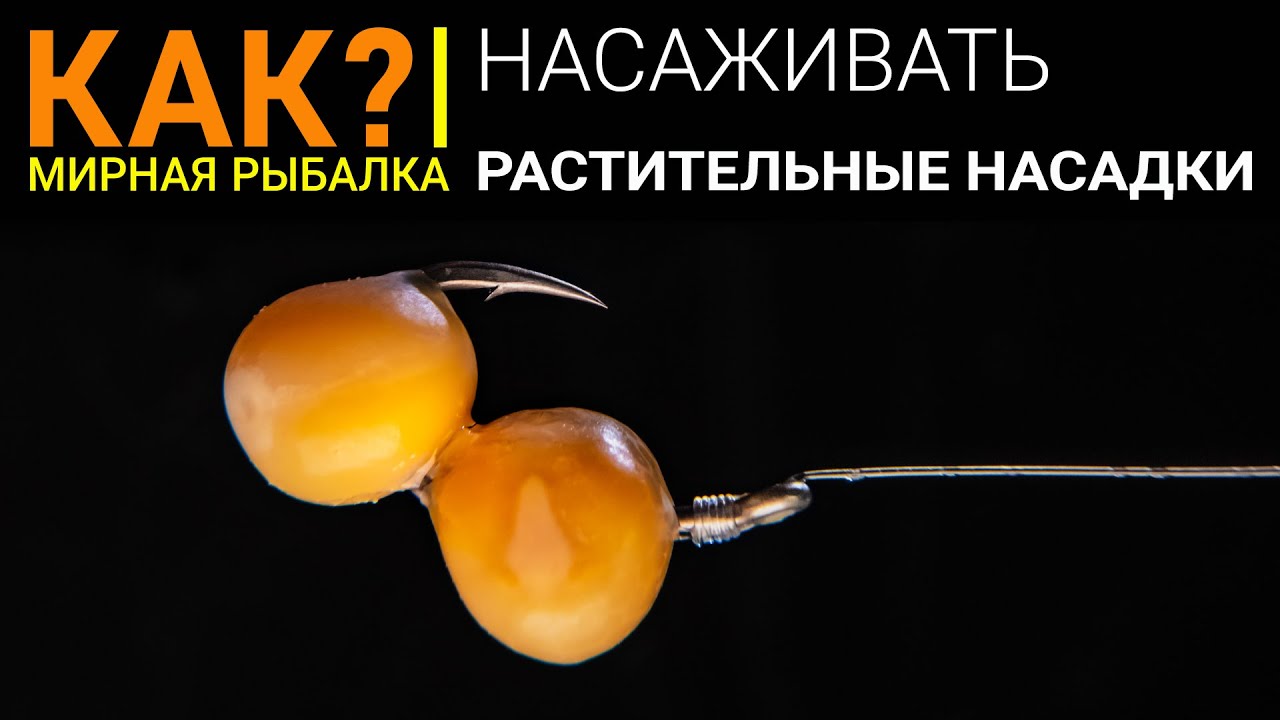 Как правильно насадить на крючок горох, кукурузу, перловку? Растительные насадки