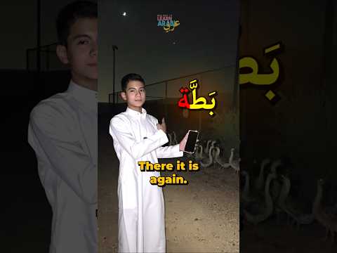 Word Genders: When Words Identify as Female ة | One Way To Learn Arabic | Muath Akkari
