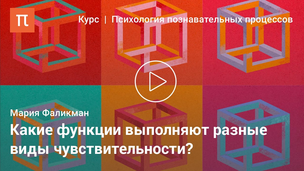 Классификации ощущений и рецепторов - Мария Фаликман