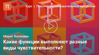 видео