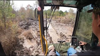 Its Time To Drain The Swamp!