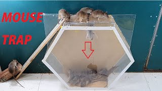 Ide perangkap tikus terbaik dari tabung plastik / Plastik perangkap tikus mudah