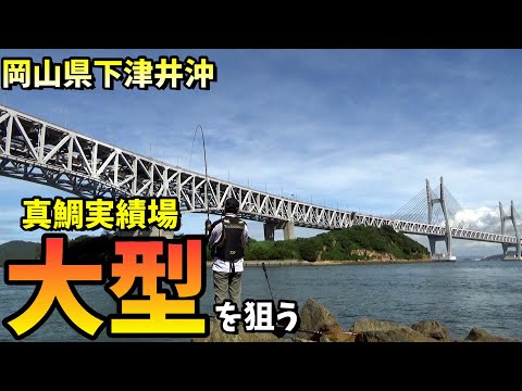 瀬戸大橋の下でデカ真鯛を狙う！真夏のフカセ釣り in 岡山県下津井沖