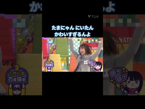 たまにゃん にいたんかわいすぎるんよ #石塚瑶季 #坂井新奈 #日向坂 #日向坂46 #日向坂で会いましょう