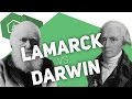 lamarck-vs-darwin/