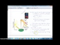 Photosynthesis and Energy Transfer Concepts