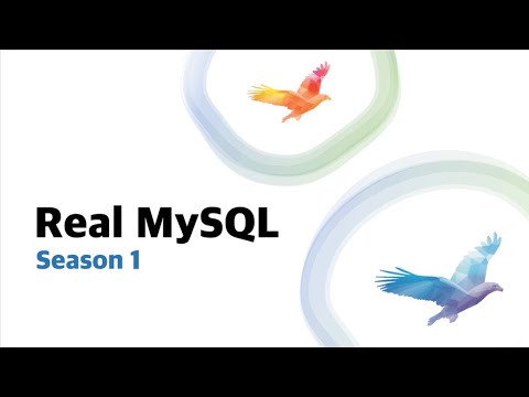 MySQL의 바이블 Real MySQL 8.0 시즌1│데이터베이스 강의