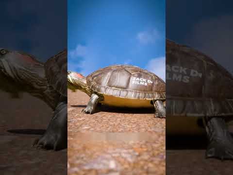 क्या कछुआ अपनी Shell को निकाल सकता है 😨 || By Big TV Knowledge #shorts
