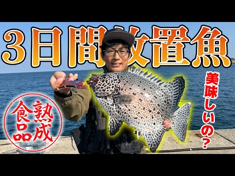 高級魚を三日間寝かせたらどんな変化が起きるのか！？