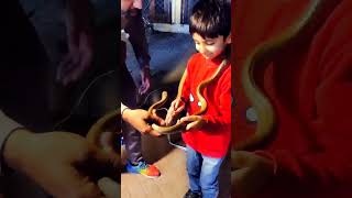Dar k agay jeet hai #nofear #snake